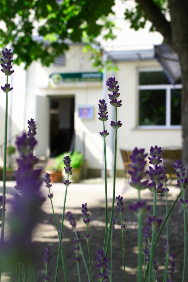 Gasthaus Lübsche Thorweide Wißmar Exterior foto